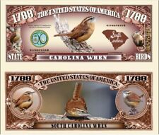 Scricciolo Caroline Banconota Million Dollaro! Uccello Passero Sud US