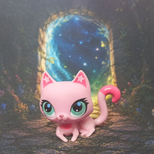 Chat sphynx 2851 littlest - #2851,