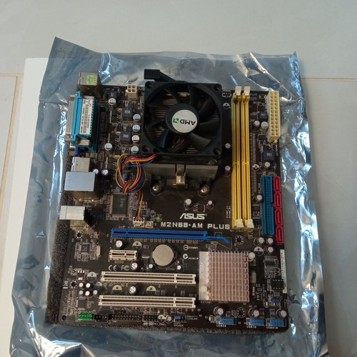 Scheda madre asus - scheda,