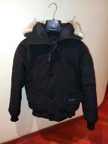 Canada goose bomber chilliwack - goose,