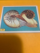 FIGURINA N.321 ANIMALI