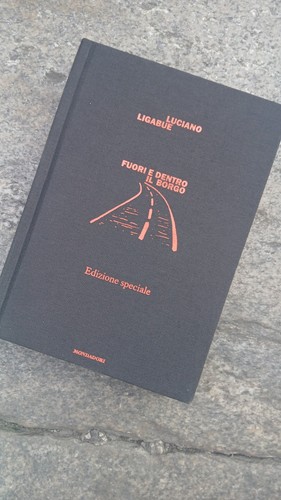 Libro fuori dentro il - libro:,