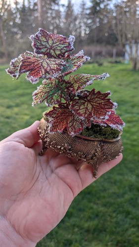 Scultura bonsai acero - bonsai,