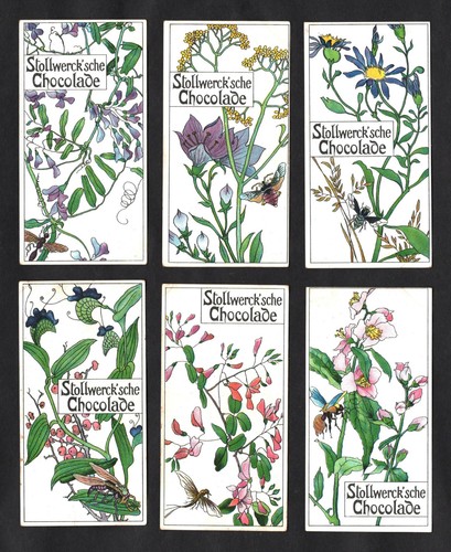 Insects flowering plants - &,