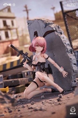 Sushing belka commando