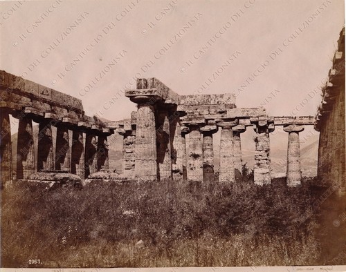 1880c paestum pesto - 1880c,