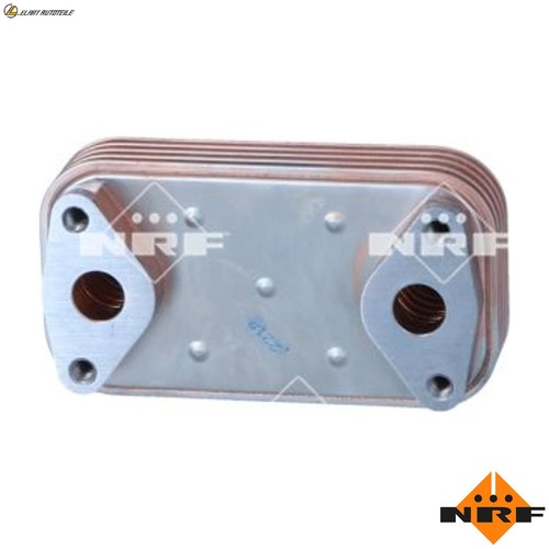 Radiatore olio motore 31870 - radiatore,