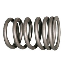 Valve Spring fits FIAT 160-90