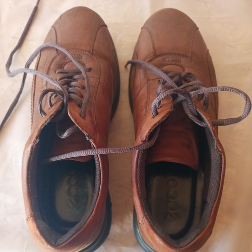 Scarpe oxford ecco - scarpe,