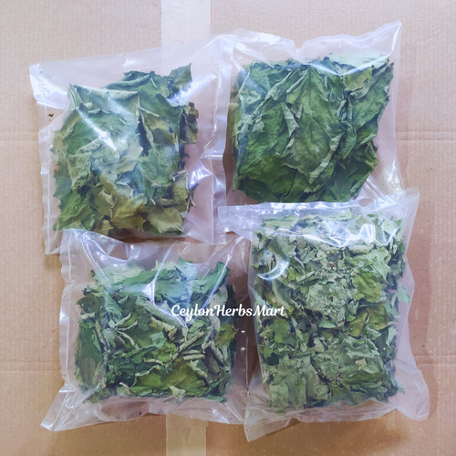 Foglie bacche tacchino - bacche,