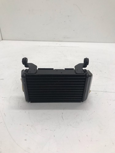 Radiatore olio ducati - radiatore,