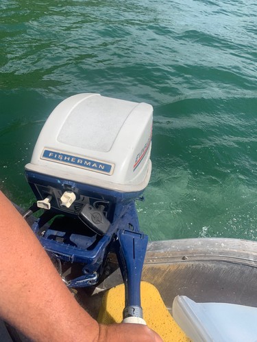 Motore evinrude cv - 6,