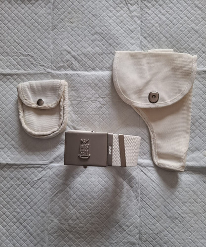 Corpo guardie pubblica - corpo,
