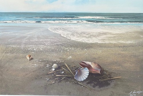 Suono del mare agostino - suono,