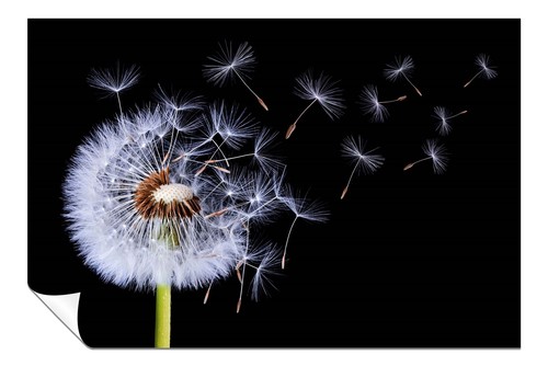 Poster artistico soffiato - , a