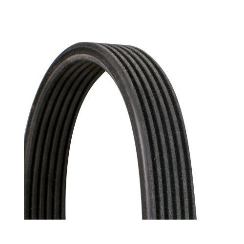 Cinghia poly continental - poly, v