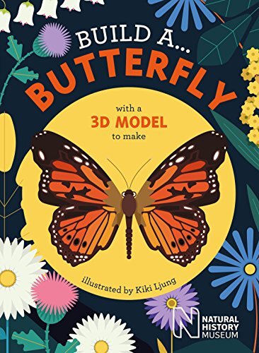 Build butterfly - a...,