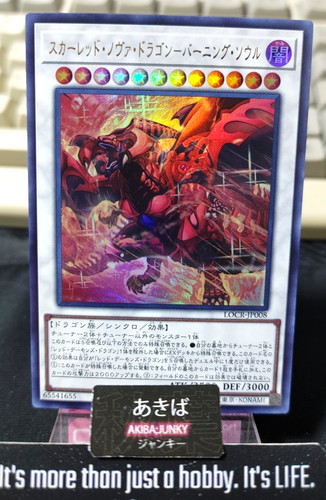 Drago nova rossa anima - drago,