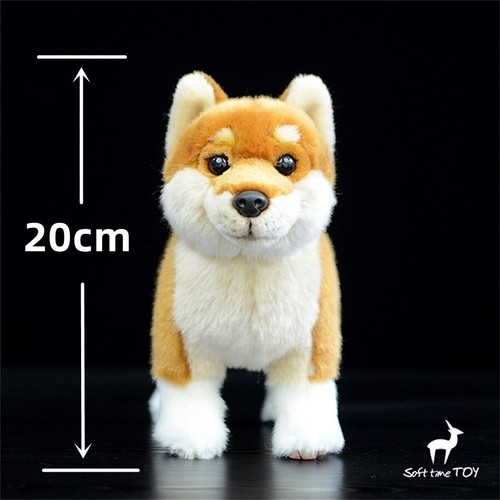 Simulazione giapponese akita - simulazione,