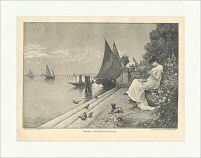 Silenzio marino zonaro - silenzio,
