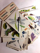 ALBUM  PANINI ANIMALI ANIMALS ANIMAUX Figurine Mai attaccate  velina originale