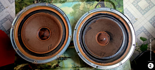 Coppia woofer altoparlanti