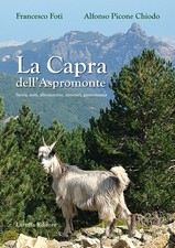 Capra dell aspromonte - la, dell'aspromonte