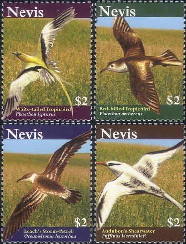Nevis 2010