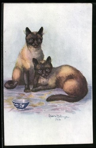 Cartolina artistica due gatti - artistica,