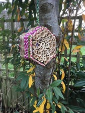 insetto, insetto, hotel delle