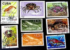 Crostacei CRS 1 - Aragoste