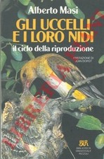 MASI Alberto - Gli uccelli e i loro nidi. Il ciclo della riproduzione.