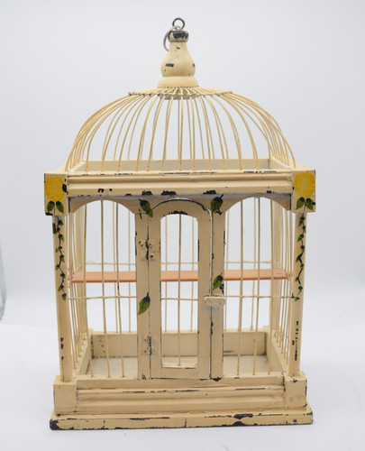 Decorative bird cage - decorative,