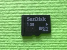 Memory card micro sd SanDisk 1 GB usata e funzionante