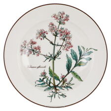 Zuppiera Valeriana officinalis senza radice Villeroy & Boch Botanica