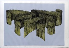 Serigrafia Vanni Viviani