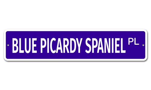 5311 blu piccardia spaniel - ss,