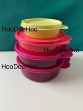 Tupperware 4 Piece Portioning