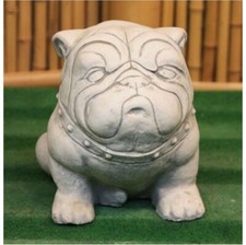 Bella Bulldog In Gesso Nuovo