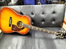 Chitarra elettrica acustica
