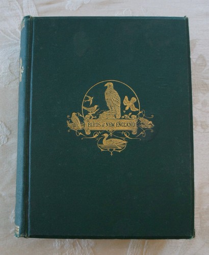 Victorian ornithology birds - birds, of