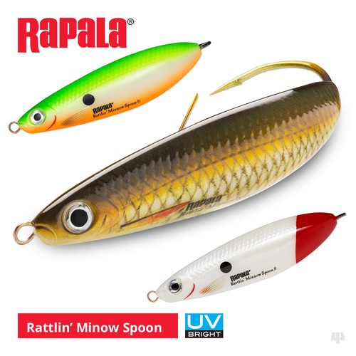 Esche cucchiaio rapala - esche,