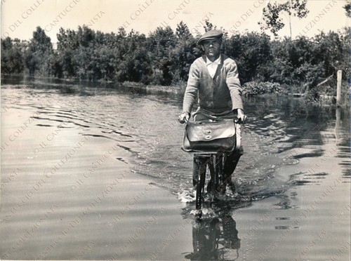 1957 rovigo alluvione - rovigo, polesine