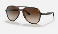 Ray-Ban RB4376 Polished