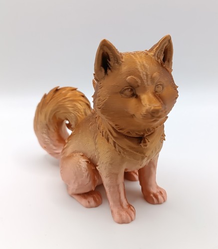 Cane cagnolino con - cane,