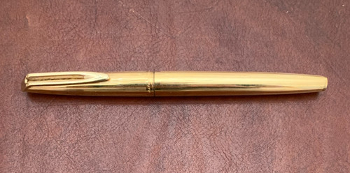 Penna stilografica waterman - stilografica,