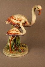 CAPODIMONTE - FENICOTTERI -