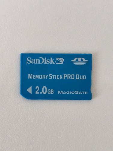 San disk memory stick pro - disk, duo