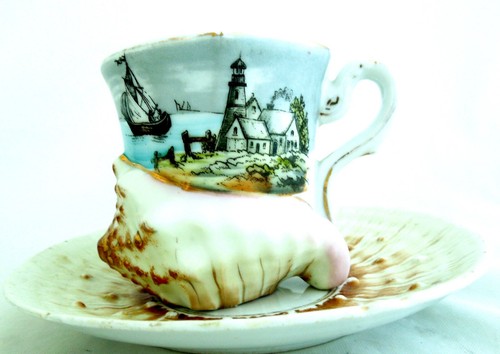 Tazza tè piattino - tazza,