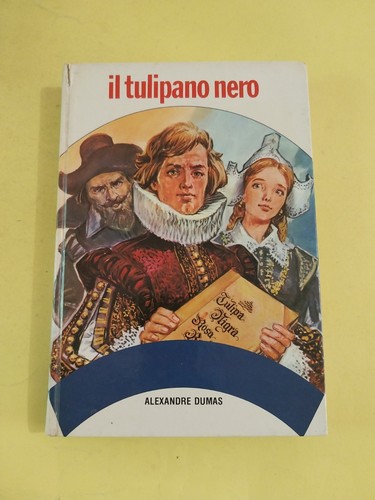 Tulipano nero alexandre - il,